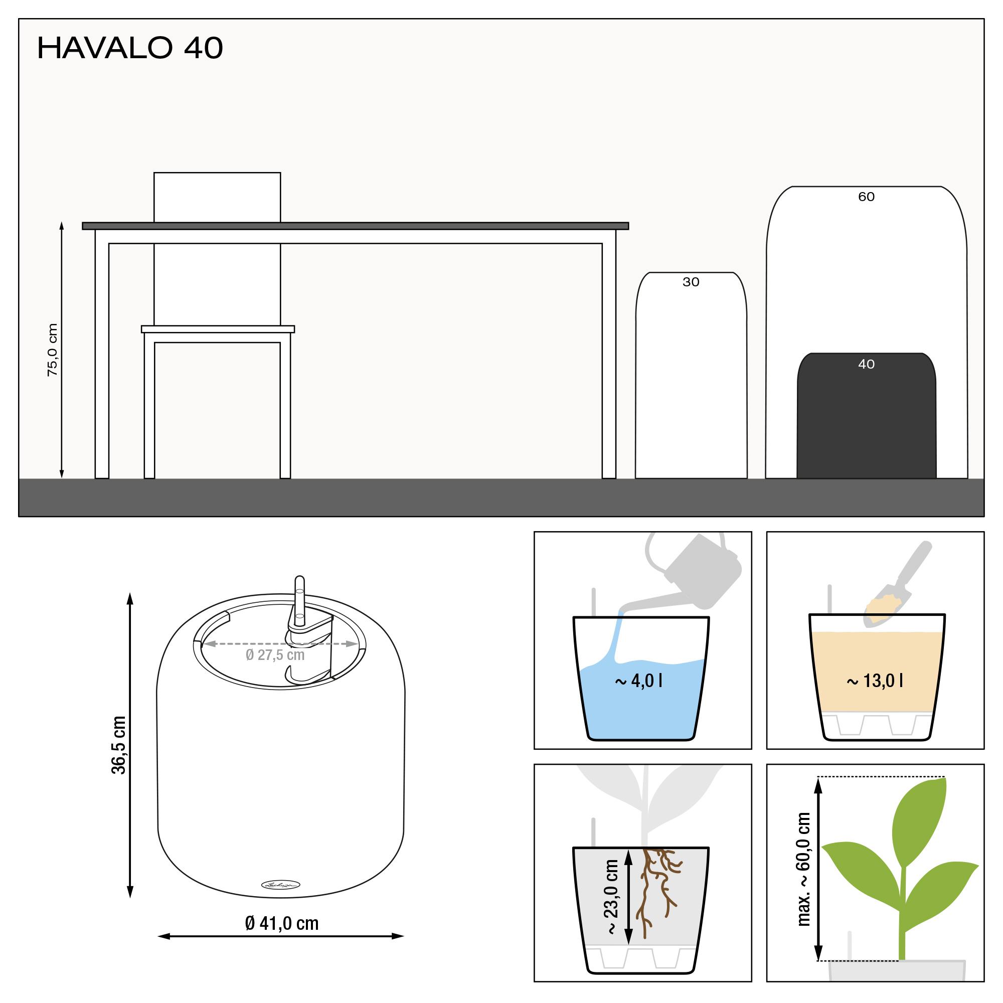le_havalo40_product_addi_nz